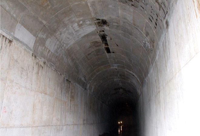 Ƽ��ɽ����ˮ����Ŧ����