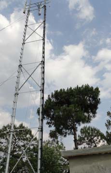 东升国际官网-相信品牌力量