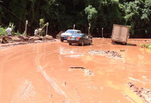 东升国际官网-相信品牌力量