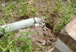 东升国际官网-相信品牌力量