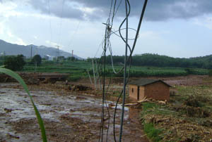 东升国际官网-相信品牌力量