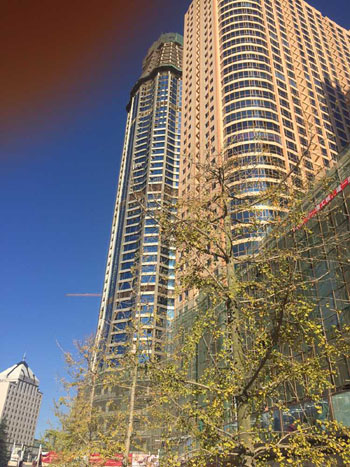 东升国际官网-相信品牌力量