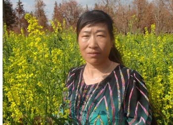 东升国际官网-相信品牌力量