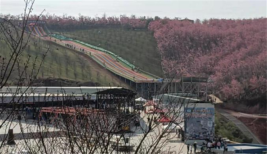 东升国际官网-相信品牌力量